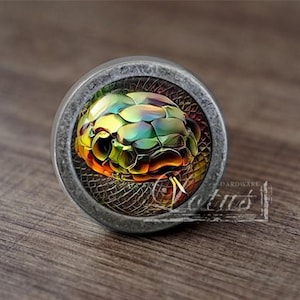 Könnte beinhalten: Ein runder, silberfarbener Schrankknopf mit einem farbenfrohen Schlangendesign. Die Schlange hat grüne, gelbe und orangefarbene Schuppen und ist vor einem schwarzen Hintergrund platziert.