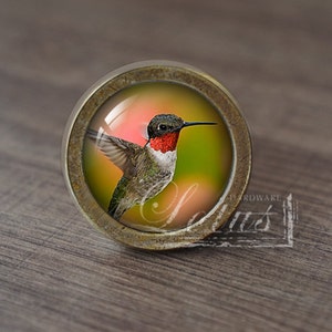 Op de afbeelding: Een ronde, bronzen kastknop met een glazen inzetstuk met een kleurrijke kolibrie in vlucht. De kolibrie heeft een rode keel en groene en bruine veren.