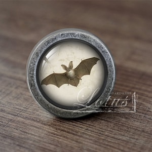 May include: A silver knob with a round glass insert featuring a vintage illustration of a bat with brown wings.