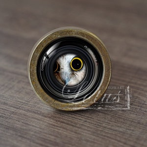 Puede incluir: Primer plano de un objetivo de cámara con un marco de color latón. El objetivo está enfocado en la cara de un búho, con un ojo amarillo visible. El objetivo está etiquetado como "Canon" y "24-70mm 1:2.8L USM".
