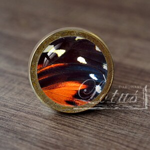 May include: A round, brass-colored cabinet knob with a clear glass insert featuring a colorful butterfly wing pattern. The butterfly wing pattern is orange, black, white, and blue.