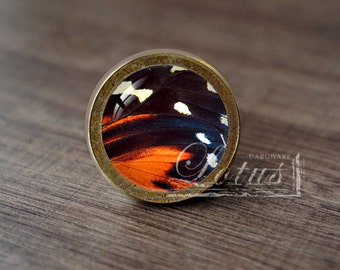 Butterfly Wing —Handmade Vintage Antique Drawer Knobs Pulls Handles/Dresser Knobs Cabinet Pull handles / Furniture Hardware