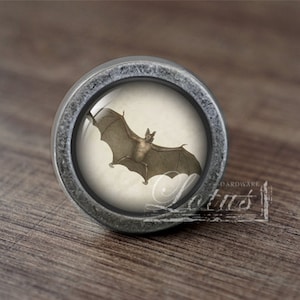 May include: A silver knob with a glass insert featuring a vintage illustration of a bat in flight.