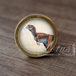 Pode incluir: Um botão de armário redondo, de cor latão, com um inserto de vidro que apresenta uma ilustração detalhada de um dinossauro marrom e azul sobre um fundo creme.