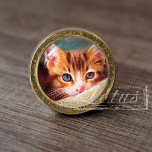 May include: A round, gold-coloured knob with a glass insert featuring a painting of a brown and white kitten with blue eyes. The kitten is looking directly at the viewer.