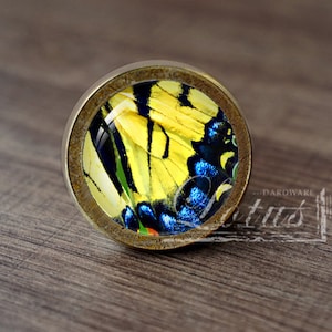 May include: A round, brass-colored cabinet knob with a glass insert featuring a close-up image of a yellow and blue butterfly.