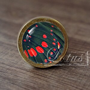 May include: A round, brass-colored cabinet knob with a glass insert featuring a close-up of a butterfly wing with red and green patterns.