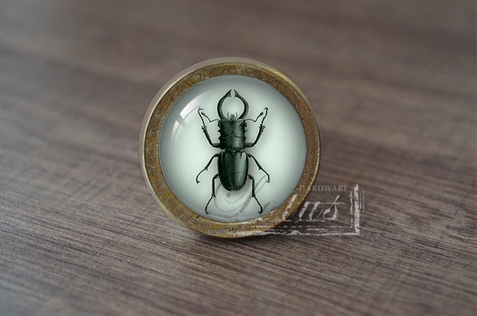 Insect—Handmade Vintage Antique Drawer Knobs Pulls Handles/Dresser Knobs Cabinet Pull handles / Furniture Hardware