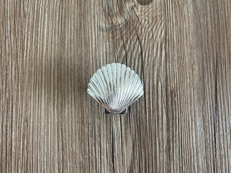 May include: Silver seashell-shaped cabinet knob with a detailed design.