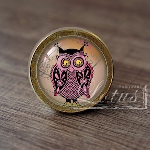 May include: A round, bronze-colored cabinet knob with a pink and black owl design. The owl has large, yellow eyes and a detailed pattern on its feathers. The knob is set against a background of a vintage map.