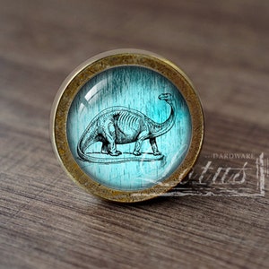 May include: A round, brass-colored cabinet knob with a glass insert featuring a vintage illustration of a dinosaur skeleton on a turquoise background.