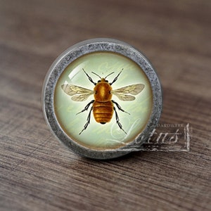 May include: A round, silver-toned cabinet knob with a glass insert featuring a vintage illustration of a bee with brown and yellow markings.