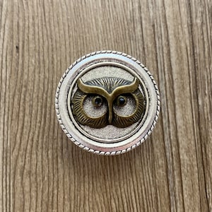 以下が含まれることがあります： 中央に隆起した詳細なフクロウのデザインが施された銀色の円形ボックス。フクロウは真鍮製で、黒い目があります。
