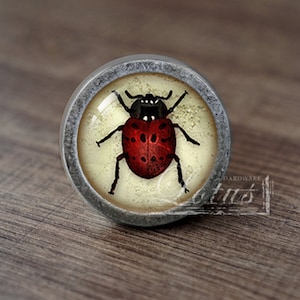 May include: A round cabinet knob with a ladybug design. The knob features a red ladybug with black spots and legs on a cream-colored background, set within a silver-toned metal frame. The ladybug is centered on the knob.