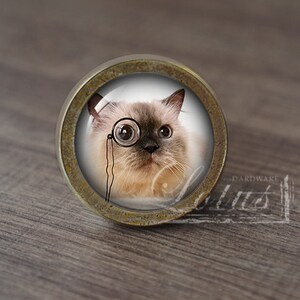 Może przedstawiać: Okrągły, mosiężny gałka do szafki z wkładką szklaną przedstawiającą zbliżenie kota w monocle.