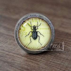Insect—Handmade Vintage Antique Drawer Knobs Pulls Handles/Dresser Knobs Cabinet Pull handles / Furniture Hardware
