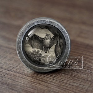 Könnte beinhalten: Ein silberfarbener Schrank-Knopf mit einer runden, glasartigen Oberfläche, die eine Vintage-Illustration einer fliegenden Fledermaus zeigt. Der Knopf hat eine leicht strukturierte Oberfläche.