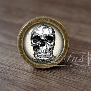 Könnte beinhalten: Ein runder, messingfarbener Schrankknopf mit einer schwarzen und weißen Totenkopfgrafik auf weißem Hintergrund mit kleinen gelben Punkten. Der Totenkopf hat ein detailliertes Design und ist nach vorne gerichtet.