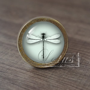 May include: A round, brass-coloured cabinet knob with a glass insert featuring a black and white dragonfly illustration on a light blue background.