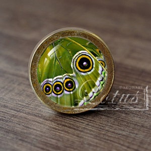 May include: A round, brass-colored knob with a green butterfly design. The butterfly has black and yellow eyes and white accents on its wings.