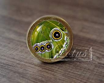 Butterfly Wing —Handmade Vintage Antique Drawer Knobs Pulls Handles/Dresser Knobs Cabinet Pull handles / Furniture Hardware