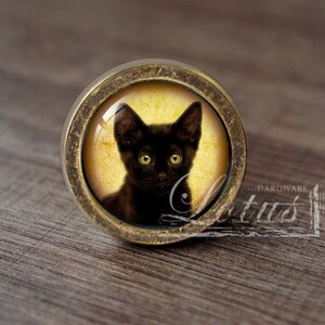 May include: A round, brass-coloured cabinet knob with a black cat image on a yellow background.