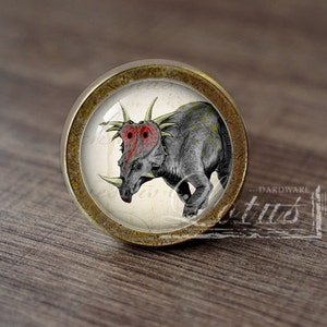 May include: A round, brass-colored cabinet knob with a glass insert featuring a vintage illustration of a dinosaur with red horns and spikes. The dinosaur is gray and has a white background.