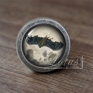 Könnte beinhalten: Ein silberner Knopf mit einem Glaseinsatz, der eine Vintage-Illustration einer fliegenden Fledermaus zeigt. Die Fledermaus ist schwarz mit einem braunen Körper und fliegt vor einem hellbraunen Hintergrund.
