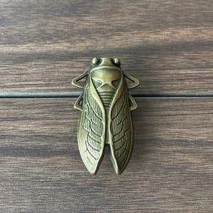 Old gold Beetle drawer knobs / Beetle cabinet / Gothic Home Decor / Animal Shaped drawer knobs / Furniture Hardware,Z-791 image 4