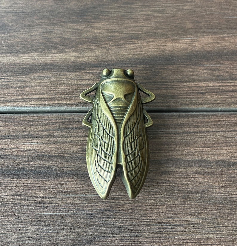 Old gold Beetle drawer knobs / Beetle cabinet / Gothic Home Decor / Animal Shaped drawer knobs / Furniture Hardware,Z-791 image 4