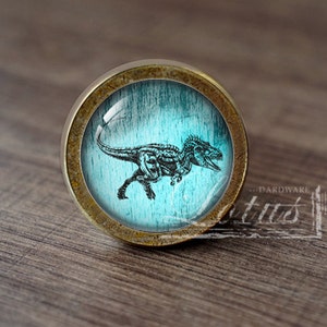 Pode incluir: Um botão de armário redondo de cor latão com um inserto de vidro que apresenta um fundo azul turquesa e uma silhueta preta de um esqueleto de dinossauro.