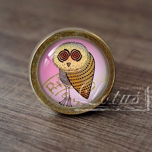 May include: A round, gold-colored cabinet knob with a pink and yellow owl design. The owl has large, black eyes with white pupils and a yellow and black striped body.