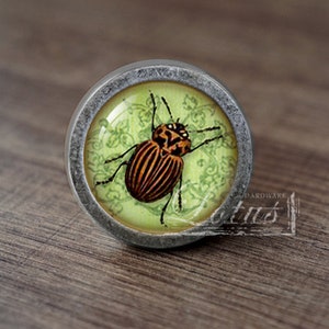 Insect—Handmade Vintage Antique Drawer Knobs Pulls Handles/Dresser Knobs Cabinet Pull handles / Furniture Hardware
