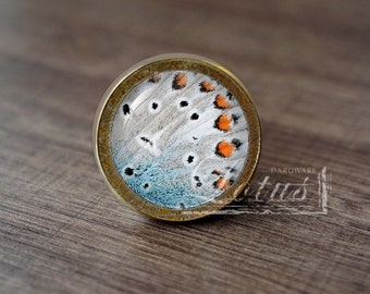 Butterfly Wing —Handmade Vintage Antique Drawer Knobs Pulls Handles/Dresser Knobs Cabinet Pull handles / Furniture Hardware