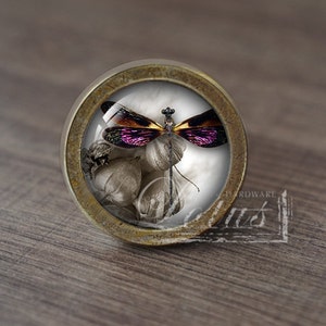 May include: A round, brass-coloured cabinet knob with a glass insert featuring a purple and brown dragonfly on a white background.