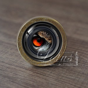 Camera Creature Eyes—Handmade Vintage Antique Drawer Knobs Pulls Handles/Dresser Knobs Cabinet Pull handles / Furniture Hardware