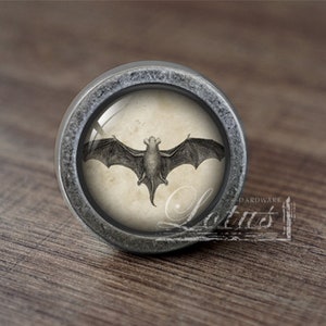 May include: A silver knob with a round, glass-like surface featuring a black and white illustration of a bat.