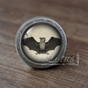 May include: A silver knob with a glass insert featuring a vintage illustration of a bat with outstretched wings.
