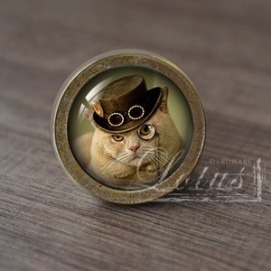 Op de afbeelding: Een ronde, messingkleurige kastknop met een glazen inzetstuk met een kat die een bruine hoge hoed met een bril en een monokel draagt.