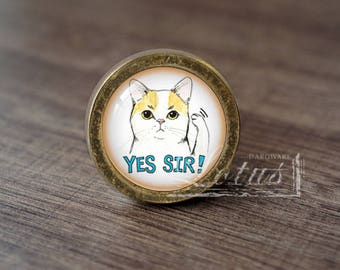May include: A round, gold-coloured cabinet knob with a glass insert featuring a cartoon cat with the text "YES SIR!"