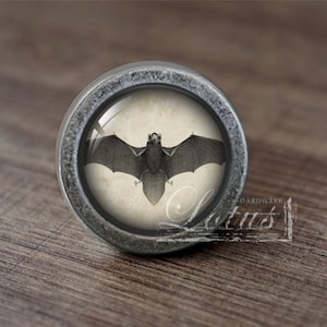 May include: A silver knob with a round, glass-like surface featuring a black and white image of a bat.