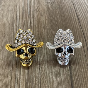 Gothic Skull drawer knobs / Skull cabinet / Gothic Home Decor / Relief  Shaped drawer knobs / Furniture Hardware,Z-676