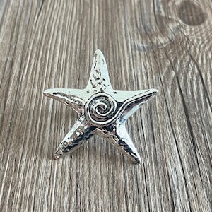 May include: A silver starfish with a textured surface and a spiral design in the centre.