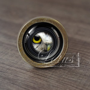 Puede incluir: Un pomo de puerta decorativo con diseño de lente de cámara. La lente presenta un primer plano del ojo de un búho con iris amarillo y plumas blancas y grises. El pomo tiene un acabado bronce y está sobre una superficie de madera.