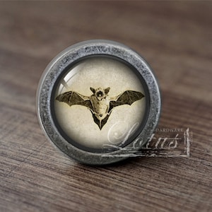 May include: A silver knob with a round, glass top featuring a vintage illustration of a bat with outstretched wings.