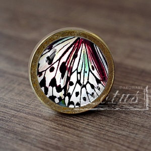 May include: A round, brass-colored cabinet knob with a glass insert featuring a colorful butterfly wing pattern. The butterfly wings are white with black markings and have red, pink, and green accents.