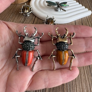 May include: Two decorative beetle brooches. One is red and silver, the other is gold and orange. Both have black jeweled heads and detailed legs and antennae. Additional insect-themed jewelry is visible in the background.