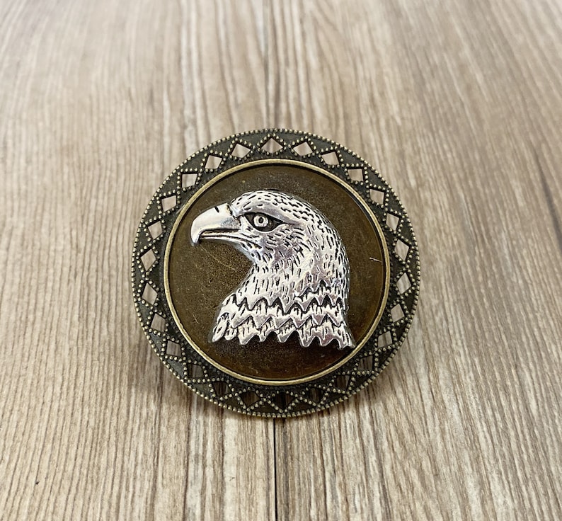 May include: A silver eagle head with a detailed design is featured on a round, bronze-coloured pendant with a geometric border.
