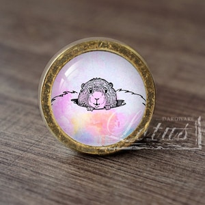 May include: A gold-colored cabinet knob with a round glass insert featuring a cartoon illustration of a groundhog peeking out of a hole. The background is a watercolor-style design with pink, blue, and yellow hues.
