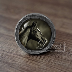 May include: A circular cabinet knob featuring a sepia-toned image of a horse's head. The horse is dark with a white facial stripe. The knob has a dark grey metal frame. The word "HARDWARE" is visible.